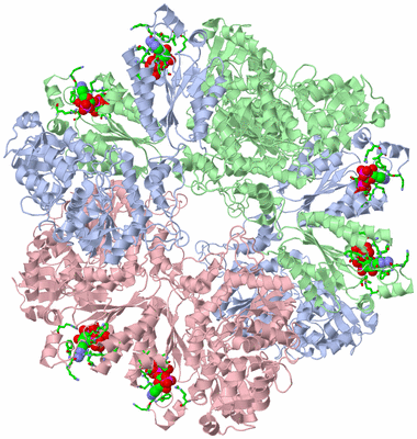 Image Biol. Unit 1 - sites