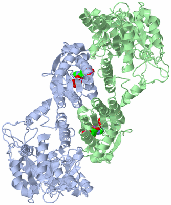 Image Biological Unit 2