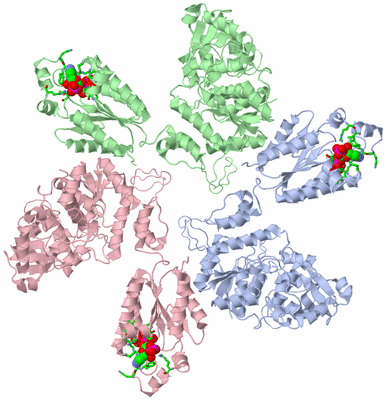 Image Asym. Unit - sites