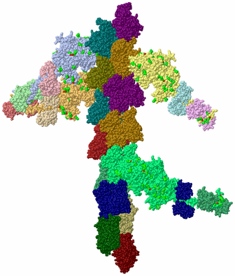 Image Asym./Biol. Unit