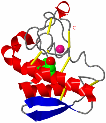 Image Asym./Biol. Unit