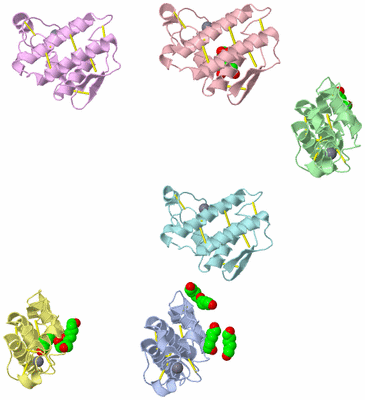 Image Asymmetric Unit