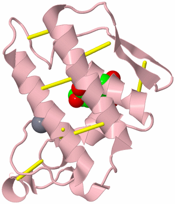 Image Biological Unit 3