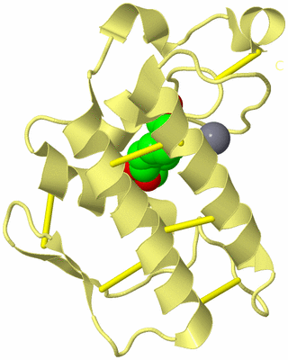 Image Biological Unit 4