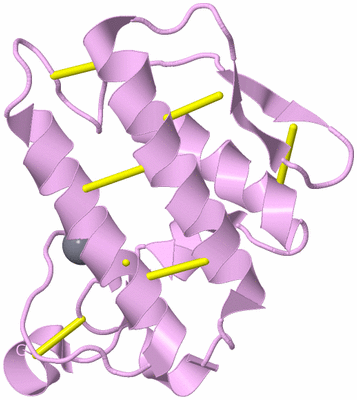 Image Biological Unit 5