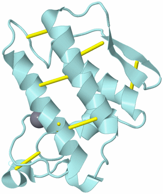 Image Biological Unit 6