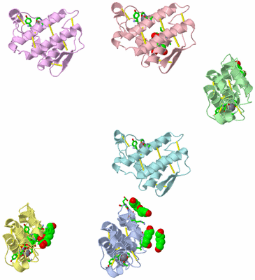 Image Asym. Unit - sites