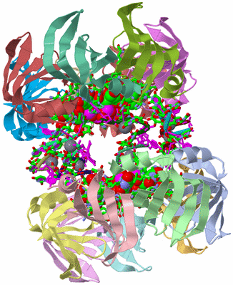 Image Asym./Biol. Unit - sites