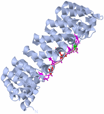 Image Biological Unit 1