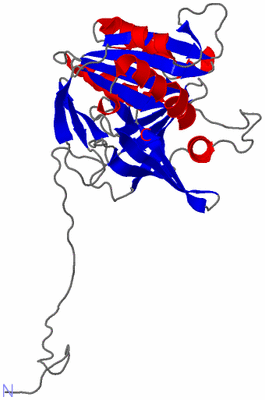 Image Theoretical Model