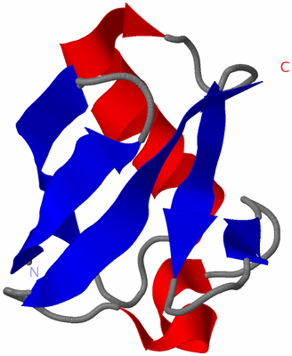 Image NMR Structure - model 1