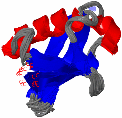 Image NMR Structure - all models