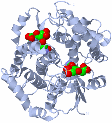 Image Biological Unit 1