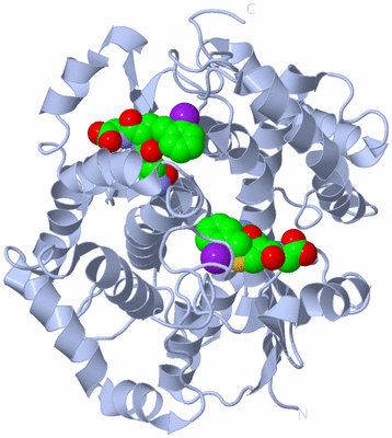 Image Biological Unit 1