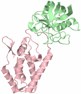 Image Biological Unit 2