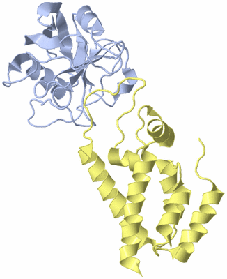 Image Biological Unit 1