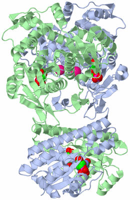 Image Asym./Biol. Unit