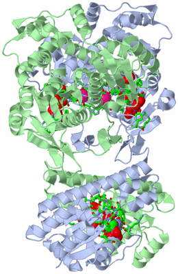 Image Asym./Biol. Unit - sites