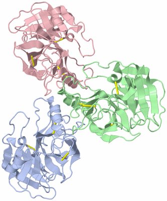 Image Asymmetric Unit