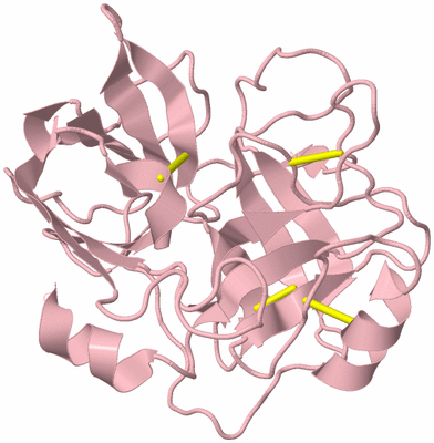 Image Biological Unit 3