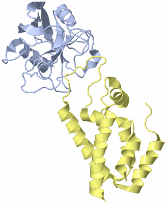 Image Biological Unit 1