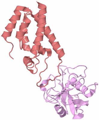 Image Biological Unit 3