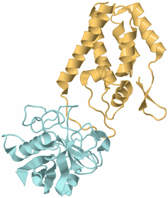 Image Biological Unit 4