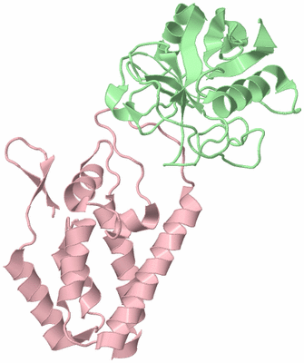 Image Biological Unit 2