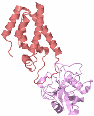 Image Biological Unit 3