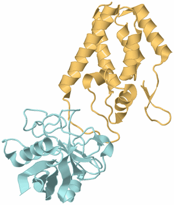 Image Biological Unit 4