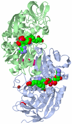 Image Asym./Biol. Unit