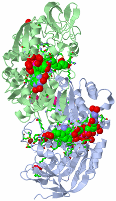 Image Asym./Biol. Unit - sites