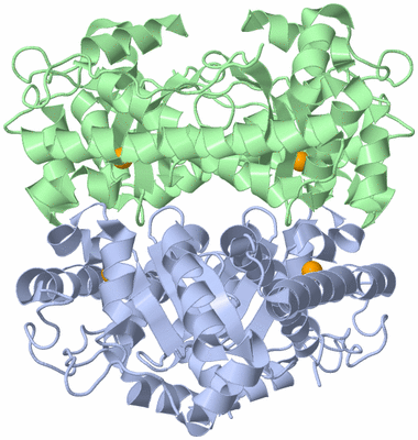 Image Biological Unit 1