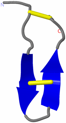 Image NMR Structure - model 1