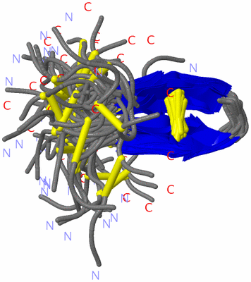 Image NMR Structure - all models