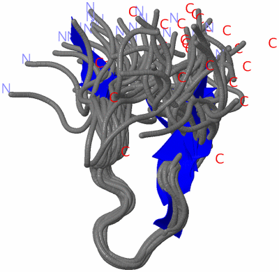 Image NMR Structure - all models