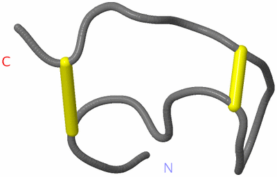 Image NMR Structure - model 1