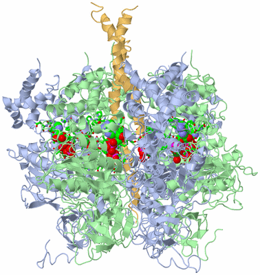 Image Biol. Unit 1 - sites