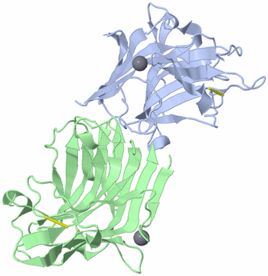 Image Asymmetric Unit