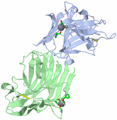 Image Asym. Unit - sites