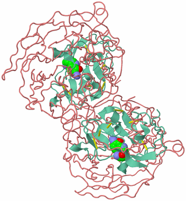 Image Biological Unit 1