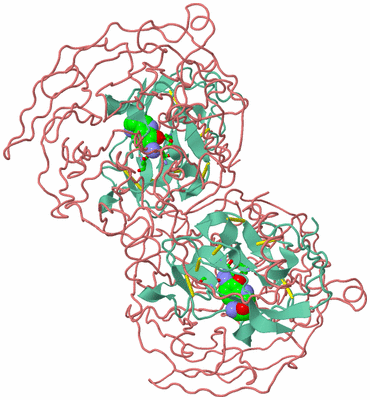 Image Biol. Unit 1 - sites