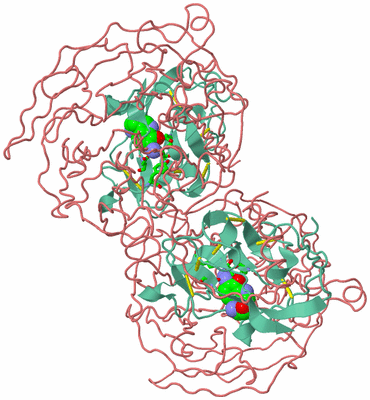 Image Biol. Unit 1 - sites