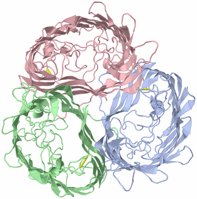 Image Asym./Biol. Unit