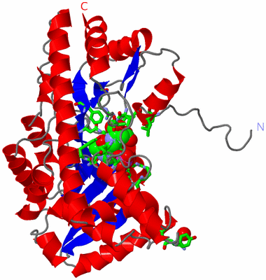 Image Asym. Unit - sites