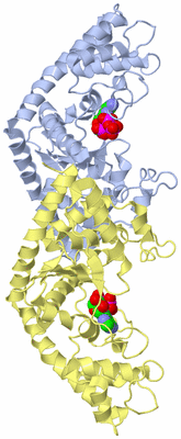 Image Biological Unit 1