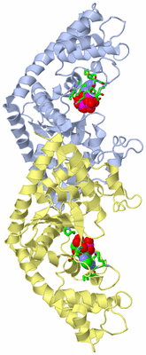 Image Biol. Unit 1 - sites