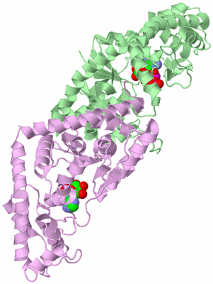 Image Biological Unit 2