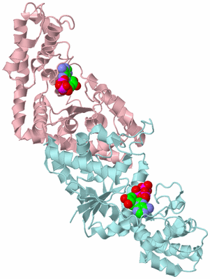 Image Biological Unit 3