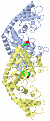 Image Biological Unit 1